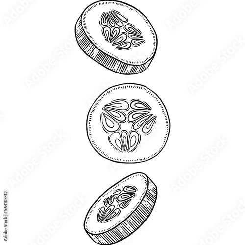 Hand drawn Cucumber Slices Falling Sketch Illustration