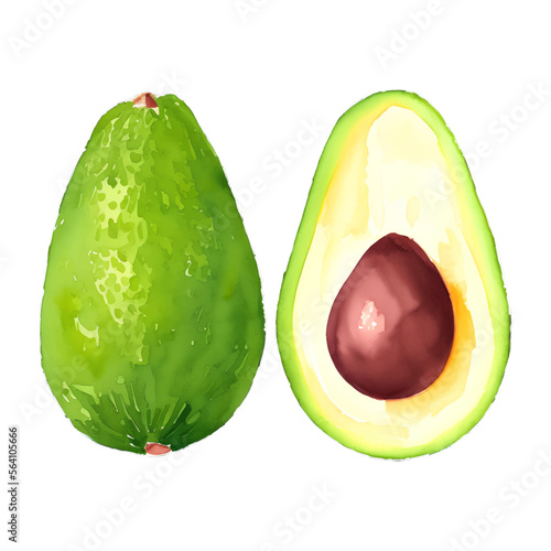 avocado fruit digital drawing with watercolor style illustration