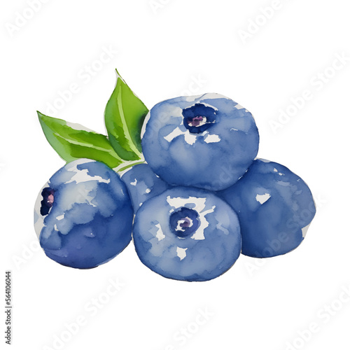 blueberry digital drawing with watercolor style illustration