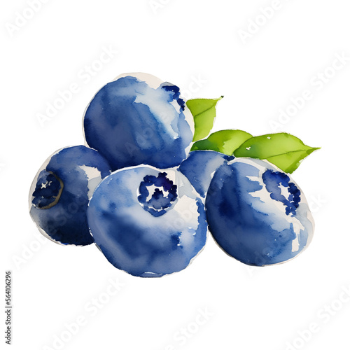 blueberry digital drawing with watercolor style illustration
