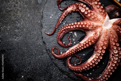 Fresh octopus on a stone board. 