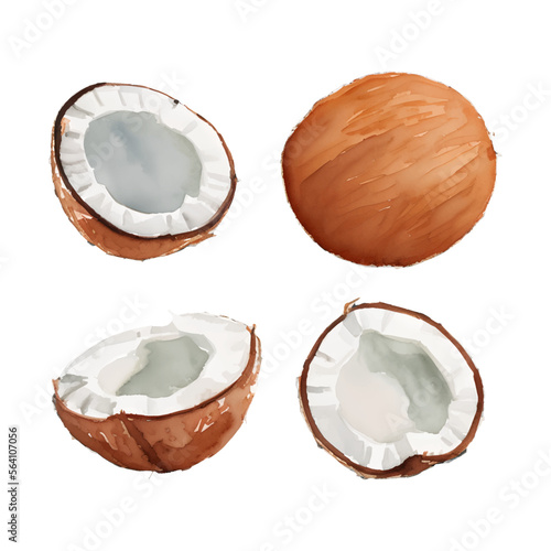 coconut digital drawing with watercolor style illustration