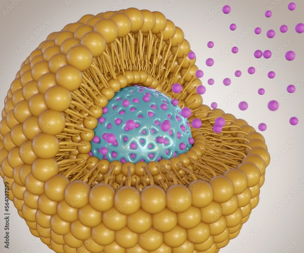 Lipid bilayer coating mesoporous silica nanoparticle as nanodrugs carrier or delivery