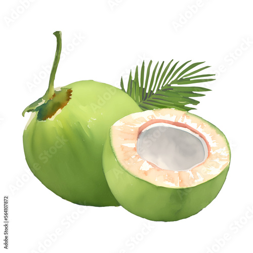 green coconut digital drawing with watercolor style illustration