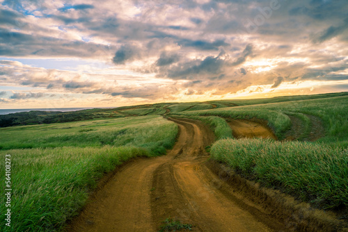 Unpaved Road to Mahana Green Sand Beach in Big Island photo