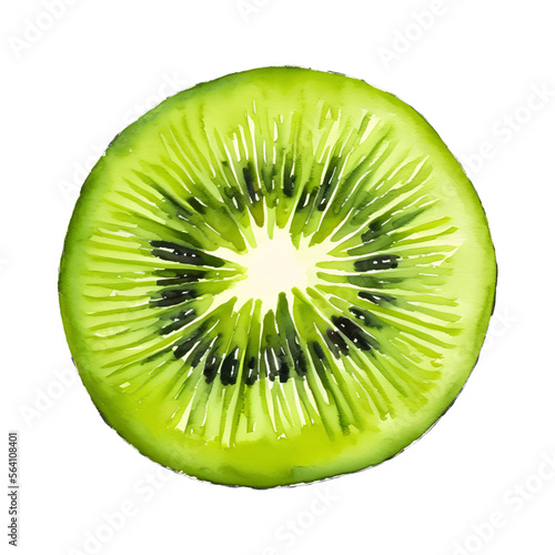 kiwi fruit digital drawing with watercolor style illustration
