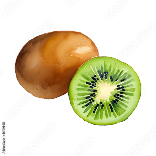 kiwi fruit digital drawing with watercolor style illustration