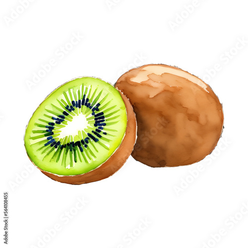 kiwi fruit digital drawing with watercolor style illustration