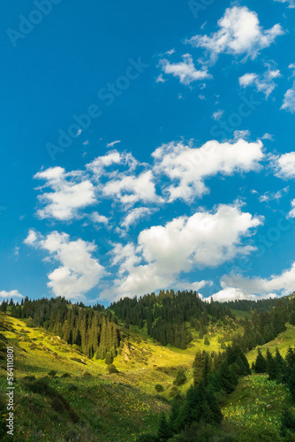 Summer Kimasar gorge with scenic blue sky. Popular weekend hiking route in Almaty mountains, vertical. photo