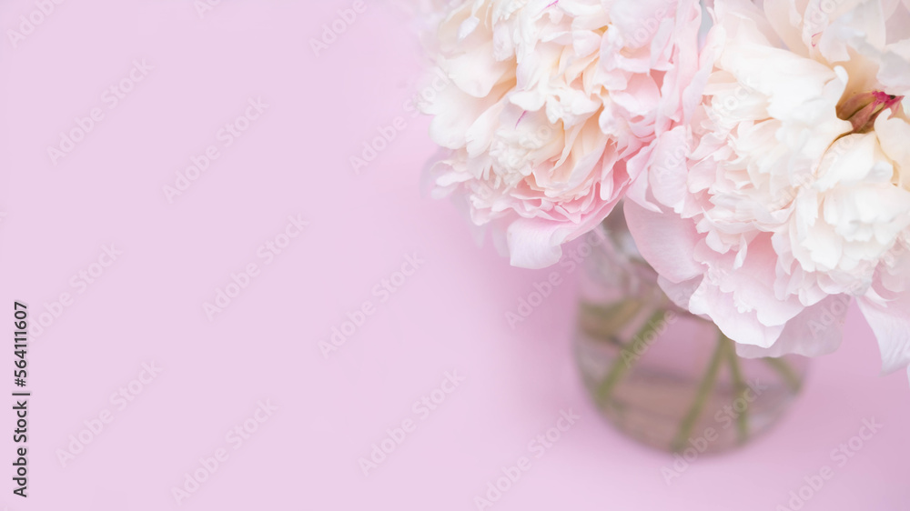Beautiful garden peony flowers bouquet on pink background. Top view flat lay with space for your holiday greetings Beautiful garden peony flowers bouquet on pink background. Top view flat lay with space for your holiday greetings