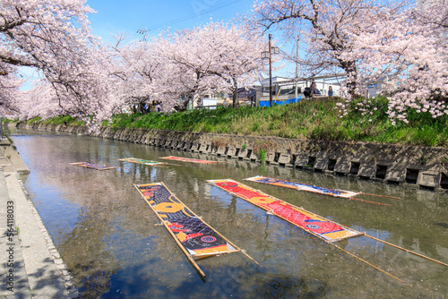 岩倉市　五条川でののんぼり洗いの風景 photo