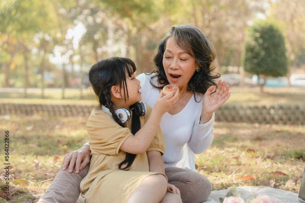 Portrait of asia grandmother and grandchildren holiday vacation together in the park in the summer in Southeast Asia Pacific. Picnic Portrait of asia grandmother and grandchildren holiday vacation together in the park in the summer in Southeast Asia Pacific. Picnic