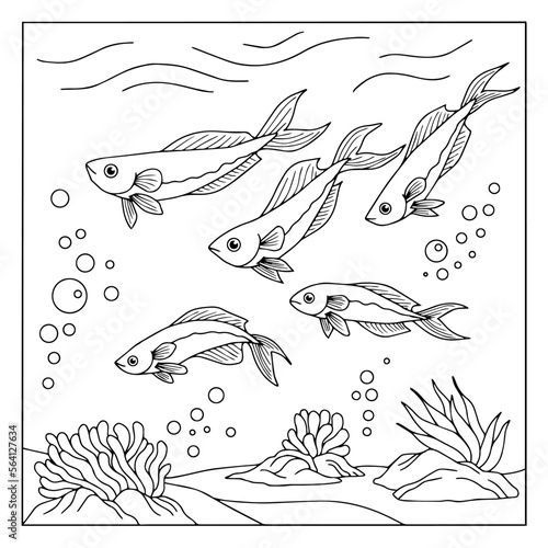 design coloring page animal fish under sea