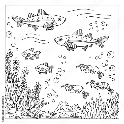 design coloring page animal fish under sea