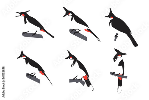 Vector collection of bird silhouettes with crest on head