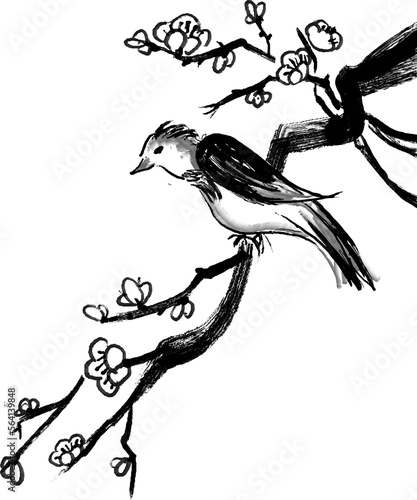 Fototapeta Naklejka Na Ścianę i Meble -  Watercolor Chinese ink paint art plum blossom tree branch and bird