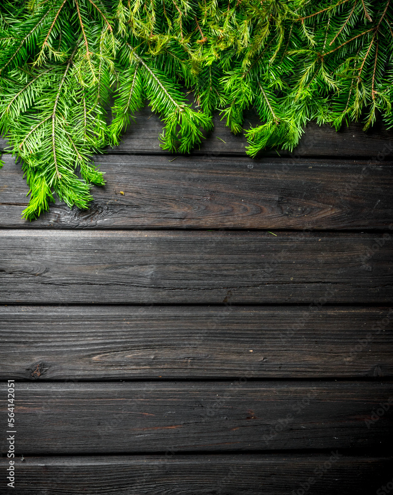 Christmas firtree branches.