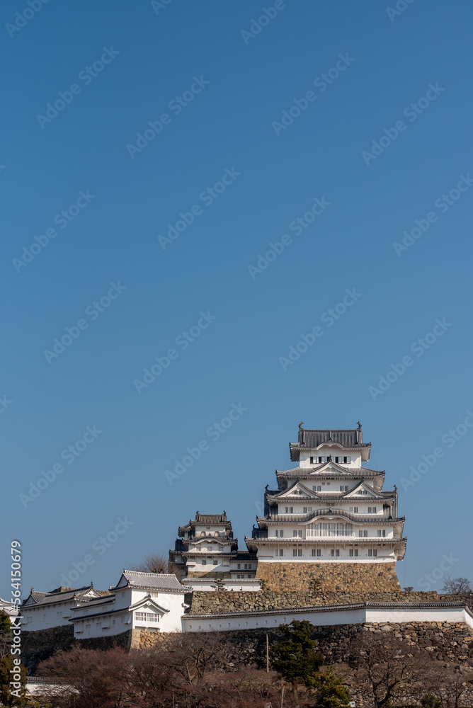 日本の国宝姫路城の美しい風景