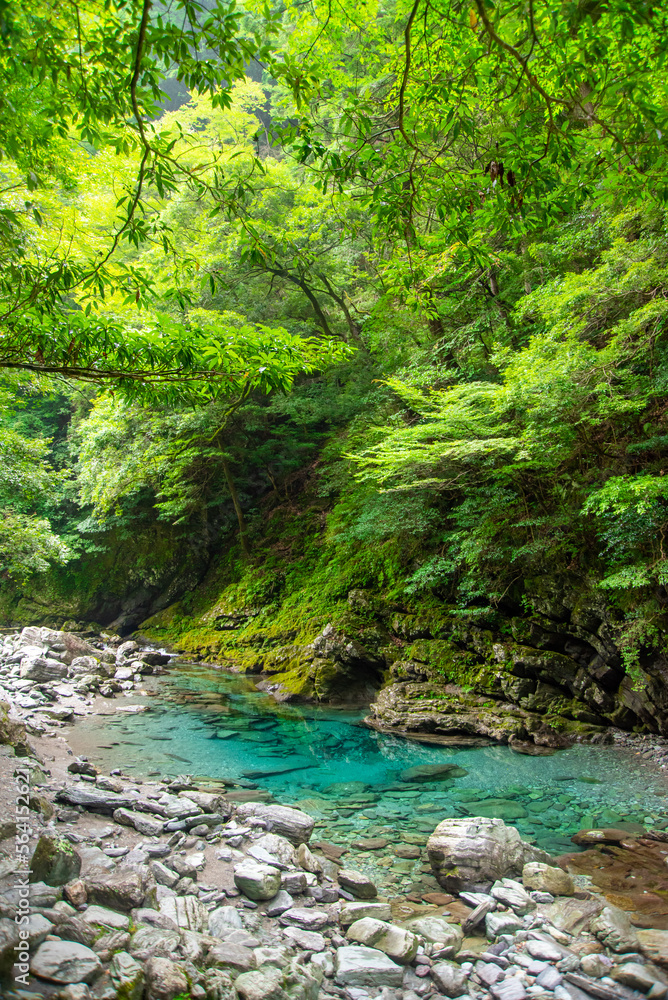 日本の原風景を思わせるとても美しい四国山地の風景