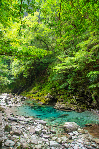 日本の原風景を思わせるとても美しい四国山地の風景