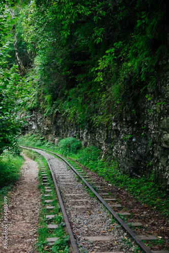 the railway in the green grass by the rock