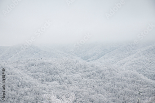 Wallpaper Mural 새하얀 겨울 풍경 Torontodigital.ca