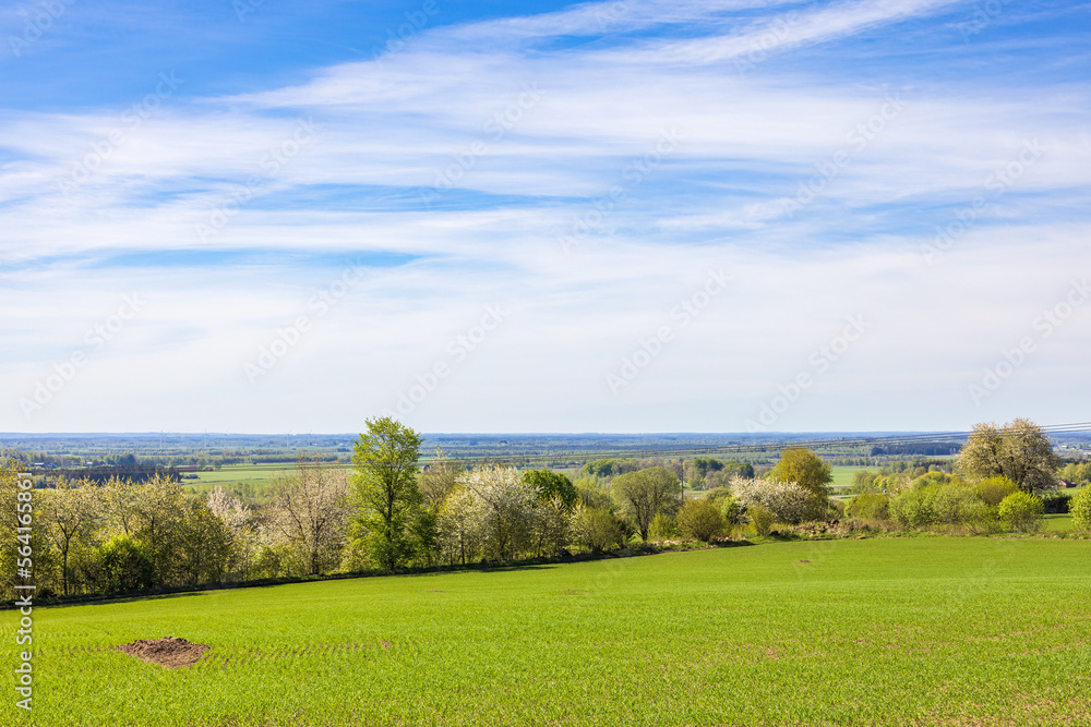 New sown field in a awesome landscape view at spring