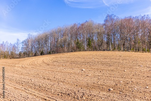 Sown field in the spring by a forest