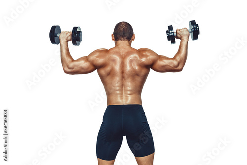 Athletic muscular man doing exercises with dumbbells showing his back on white background