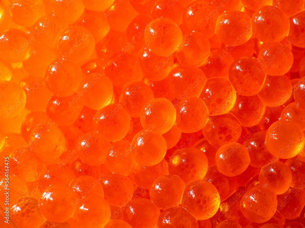 Juicy fresh Red Caviar macro close-up. Healthy seafood reach with omega. Juicy fresh Red Caviar macro close-up. Healthy seafood reach with omega.