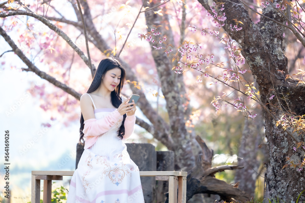 Beautiful woman using smartphone, talking, typing message, chatting, scrolling web page on mobile phone under the pink blossoms cherry tree. Woman selfie and look at camera on sakura background.