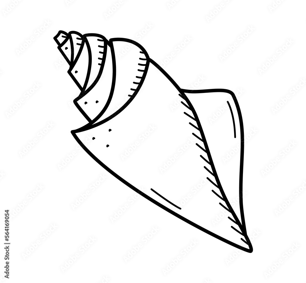 Seashell, single isolate on a white background. Vector illustration of a shell doodle sketch. Seashell, single isolate on a white background. Vector illustration of a shell doodle sketch.