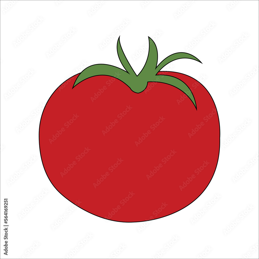 vector illustration of fresh tomato vector illustration of fresh tomato