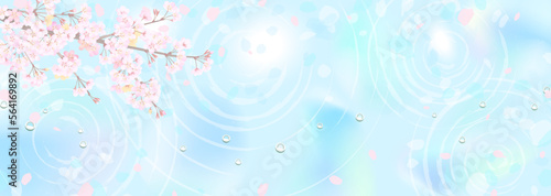 桜の枝と幻想的な水面　光、水紋、水滴
