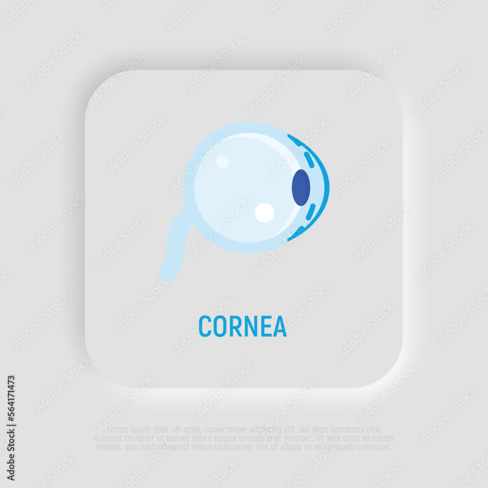 Cornea flat icon. Structure of human eye. Ophthalmology. Vector illustration. Cornea flat icon. Structure of human eye. Ophthalmology. Vector illustration.