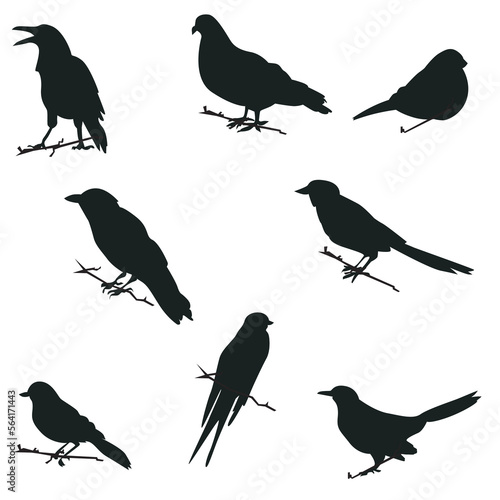vector set of bird sillhouette in flat style various styles and shapes are perched on a branch  bird vector flat isolated on white background