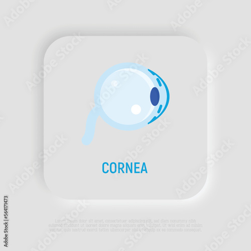 Cornea flat icon. Structure of human eye. Ophthalmology. Vector illustration.