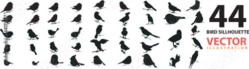 vector set of bird sillhouette in flat style various styles and shapes are perched on a branch  bird vector flat isolated on white background