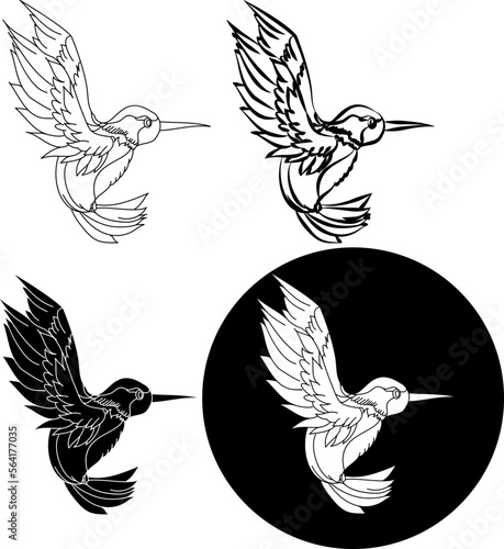 Beautiful line art Humming bird vector.Hummingbird in circle.