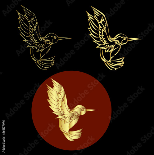 Beautiful line art Humming bird vector.Hummingbird in circle.