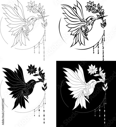 Beautiful line art Humming bird vector.Hummingbird in circle.