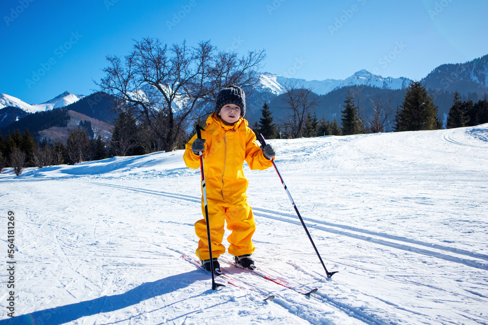cross-country skiing on the ski slope winter sports cross-country skiing on the ski slope winter sports