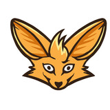 Fennec Fox 