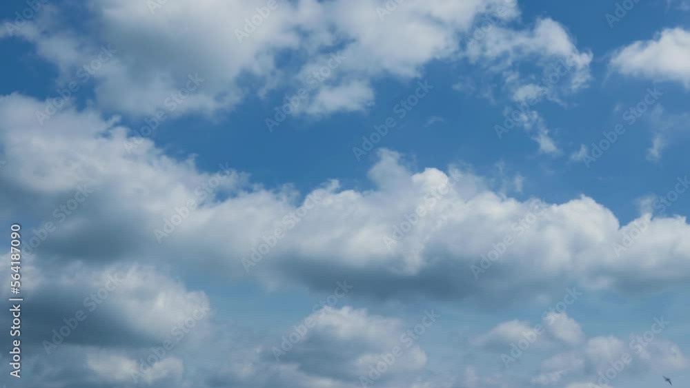 Timelapse white cumulus cloud in Blue sky, Puffy fluffy white clouds Nature weather blue sky. Timelapse white cumulus cloud in Blue sky, Puffy fluffy white clouds Nature weather blue sky.