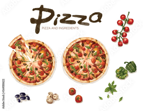 Top view of Hand drawn watercolor pizza and ingredients, tomato, black olive, bell pepper, basil, mashroom. 
