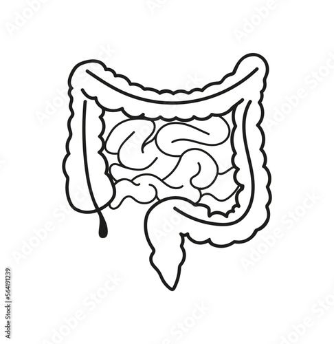 Vector Intestine of human,  illustration of intestine icon line isolated on clean background for  medical clinic.