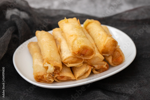 Spring Roll also known as Egg Roll on white dish