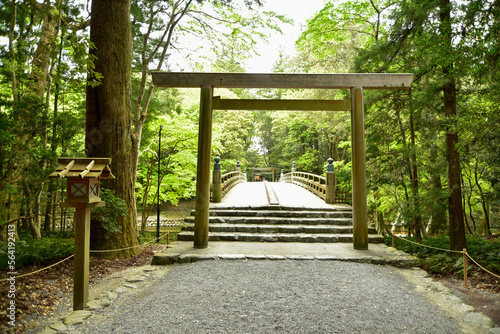 伊勢神宮の神秘的な風景