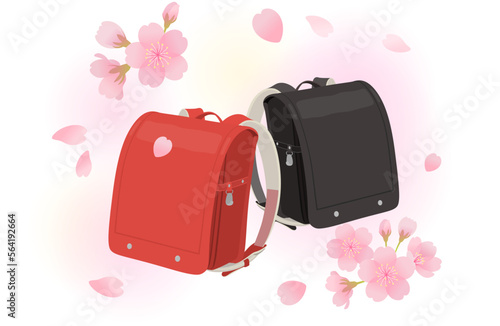 赤と黒のランドセルと桜のイメージ素材_ベクターイラスト