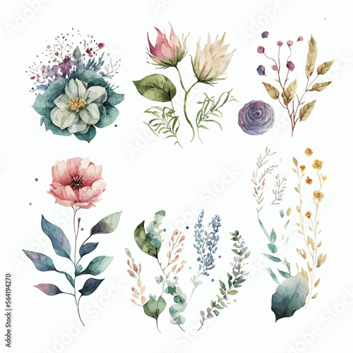 Watercolour floral illustration set . Decorative elements template. Flat cartoon illustration isolated on white background